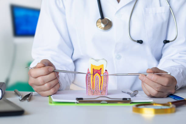 Best Emergency Gum Pain Relief  in Florham Park, NJ
